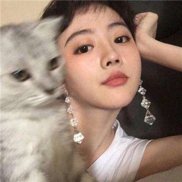 骑士保卫战破解版下载